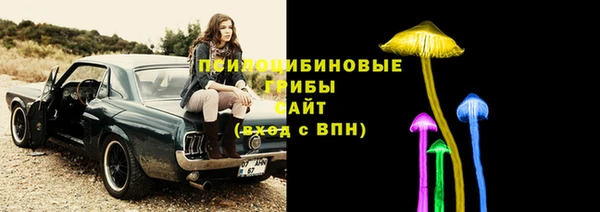 эйфоретик Зеленодольск