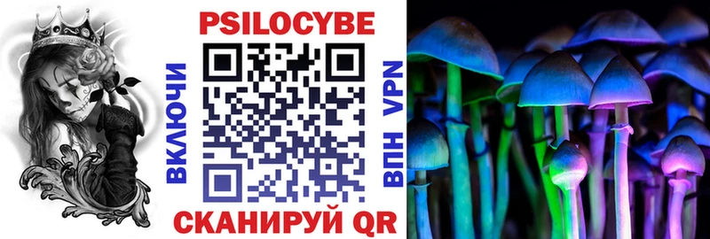 Галлюциногенные грибы Psilocybine cubensis  Пятигорск 