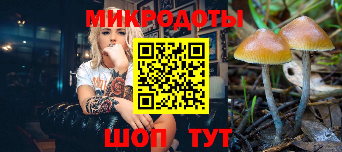 Галлюциногенные грибы Psilocybine cubensis  Вход с VPN  Пятигорск 