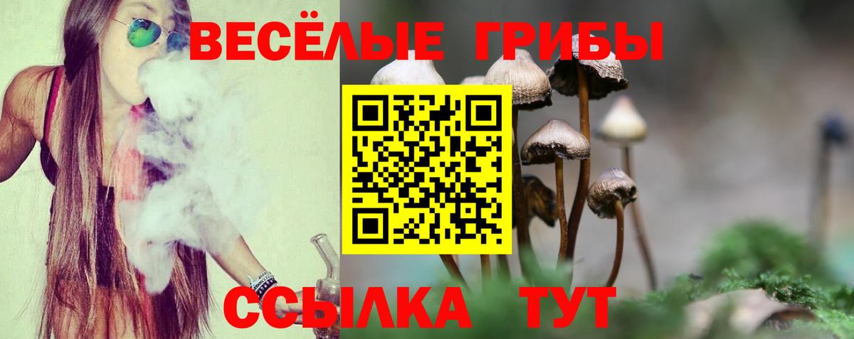 Псилоцибиновые грибы прущие грибы Пятигорск